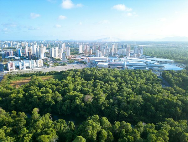 Comment suivre sa comptabilité au quotidien sans stress ?