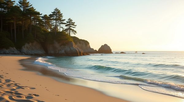 Hébergement nature à anglet : vacances au bord de l'océan